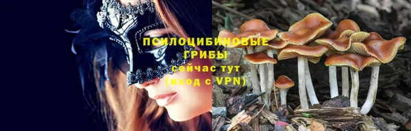 spice Магас