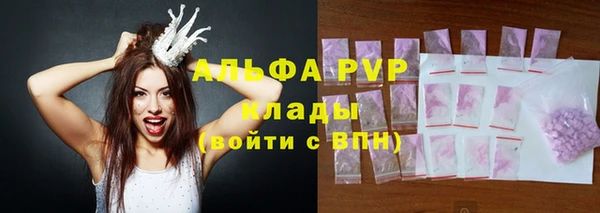 spice Магас