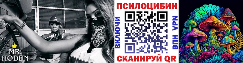 Псилоцибиновые грибы мицелий  Сусуман 